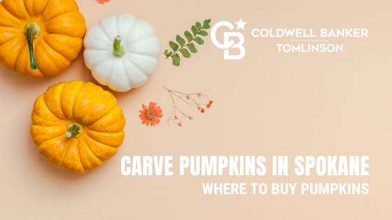 Pumpkins in Spokane